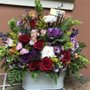 Photo of Steffens Flowers