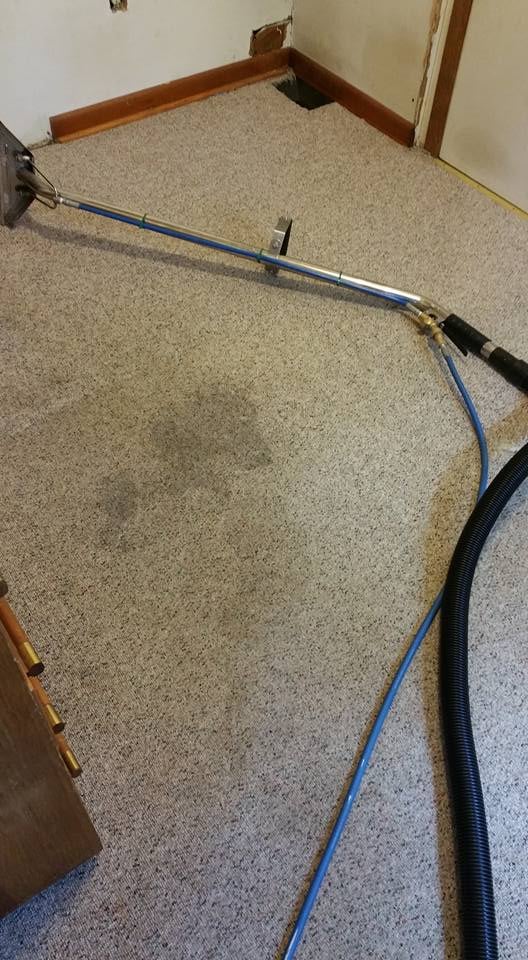 FOUR SEASONS CARPET CLEANERS 42 Photos Philadelphia, Pennsylvania