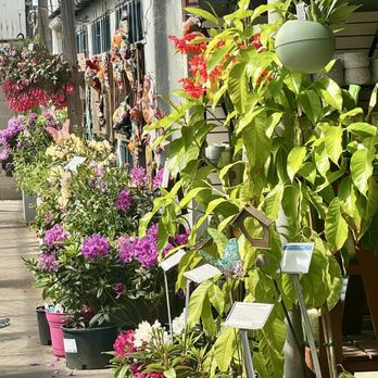 East Bay Nursery - Nurseries & Gardening Near Me - Berkeley, California