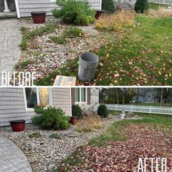 T&K Landscaping - If you're in need of some weeding give us a call.