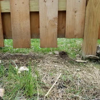 Davidson Fence & Deck - pic of the clearance from our fence to the ground. It is like this in several areas - Fences & Gates Near Me - Columbia, Tennessee Davidson Fence & Deck - pic of the clearance from our fence to the ground. It is like this in several areas - Fences & Gates Near Me - Columbia, Tennessee