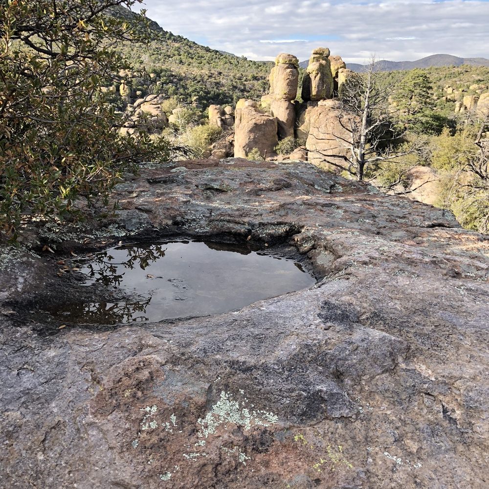 Chiricahua National Monument - Only one of the interesting things you will see on your hike. - Hiking Near Me - Willcox, Arizona Chiricahua National Monument - Only one of the interesting things you will see on your hike. - Hiking Near Me - Willcox, Arizona