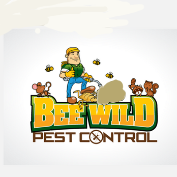 Bee Wild Pest Control - Local pest control, rodent, mice, wildlife removal. Honey bee removal - Pest Control Near Me Bee Wild Pest Control - Local pest control, rodent, mice, wildlife removal. Honey bee removal - Pest Control Near Me