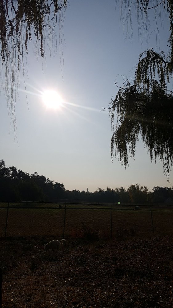 GALVIN PARK Updated October 2024 3330 Yulupa Ave, Santa Rosa, California Parks Yelp