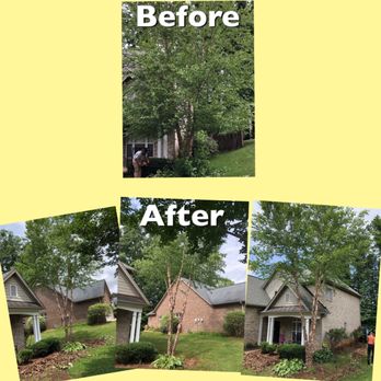 Picky Pike's Outdoor Solutions - Lewisville NC treework, bush trimming, yard clean-up - Tree Services Near Me