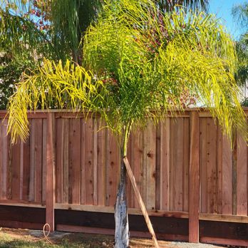 Kings Quality Fences - Second section. - Fences & Gates Near Me Kings Quality Fences - Second section. - Fences & Gates Near Me