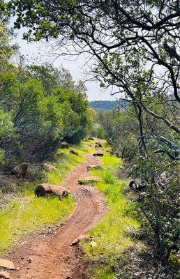 Trione-Annadel State Park by null