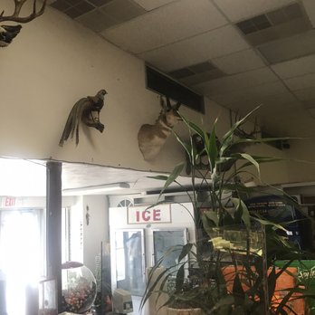 Neena's Market - deer heads mounted on the wall - Grocery Near Me - Coalville, Utah Neena's Market - deer heads mounted on the wall - Grocery Near Me - Coalville, Utah