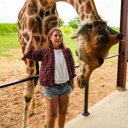 Blue Hills Ranch - Giraffe