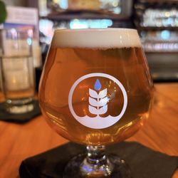 San Clemente Wine Company - My wife ordered an IPA.