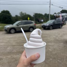 Blueberry soft serve ice cream Blueberry soft serve ice cream