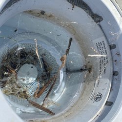 High Desert Pools - Pool filter never getting cleaned