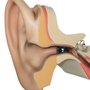 Photo of Life Hearing
