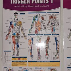 My Massage Place - Poster on his wall