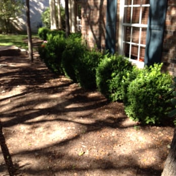 Morningstar Landscaping - Before. - Landscaping Near Me Morningstar Landscaping - Before. - Landscaping Near Me