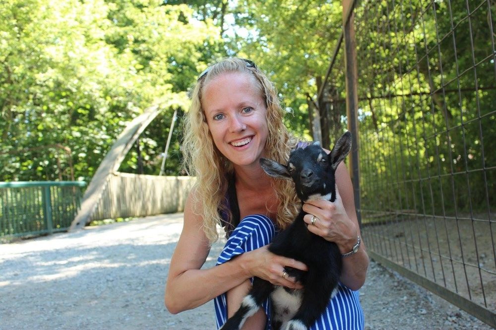 CARTER VETERINARY HOSPITAL Updated August 2024 11 Photos 2323