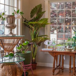 Bloodline Merchants - Please come in and browse our galleries featuring Farrow & Ball, Rookwood Pottery, Paintings, Prints and much more...