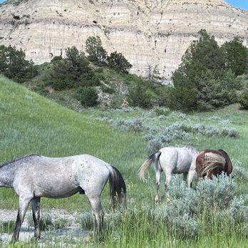 Theodore Roosevelt National Park - Parks Near Me - Medora, North Dakota Theodore Roosevelt National Park - Parks Near Me - Medora, North Dakota