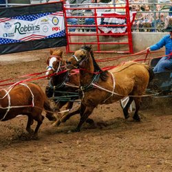 Humble Rodeo & BBQ Cookoff