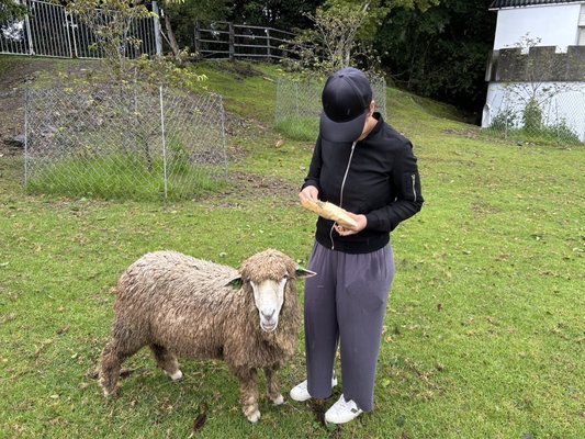 Qingjing Farm by null