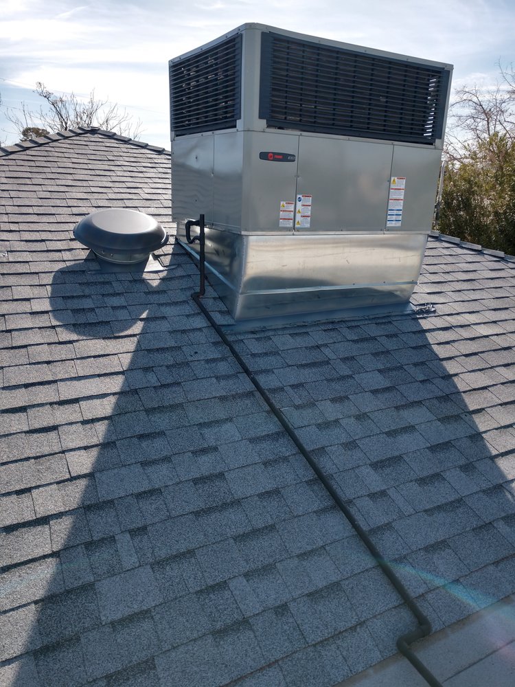 Slide of Johnny On The Spot