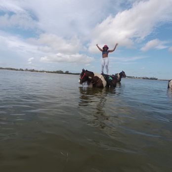 CPonies - Wear water comfortable shoes. - Horseback Riding Near Me - Bradenton, Florida CPonies - Wear water comfortable shoes. - Horseback Riding Near Me - Bradenton, Florida