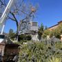 Photo of Bob's Crane Service