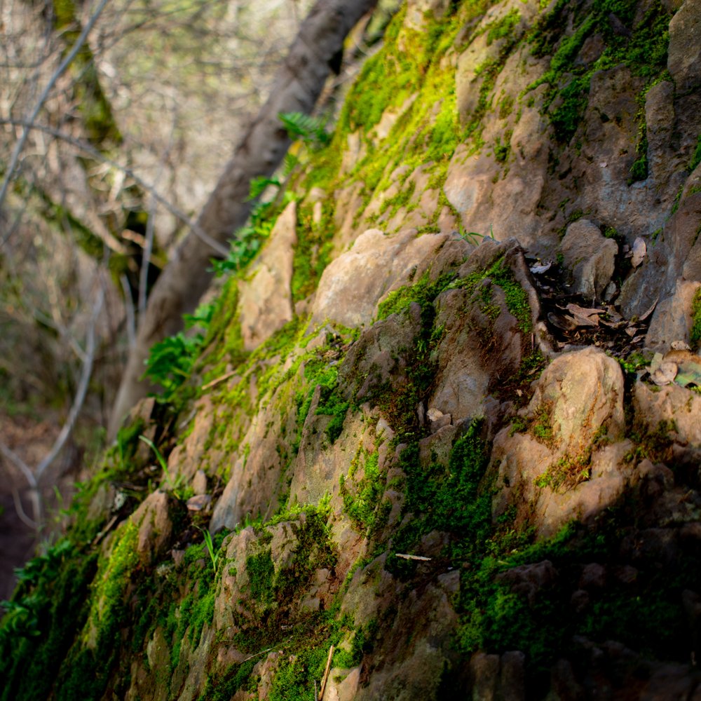 Hidden Falls Regional Park - Parks Near Me - Auburn, California