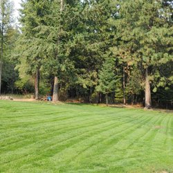 Green Dreams Landscaping