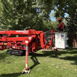 Buffalo Tree Service - They were very careful about driving this through my neighbors yard and not disturbing anything. I was amazed the way they handled that mach