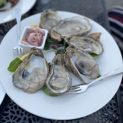 Royal Palm Village Wine & Tapas - Raw oysters