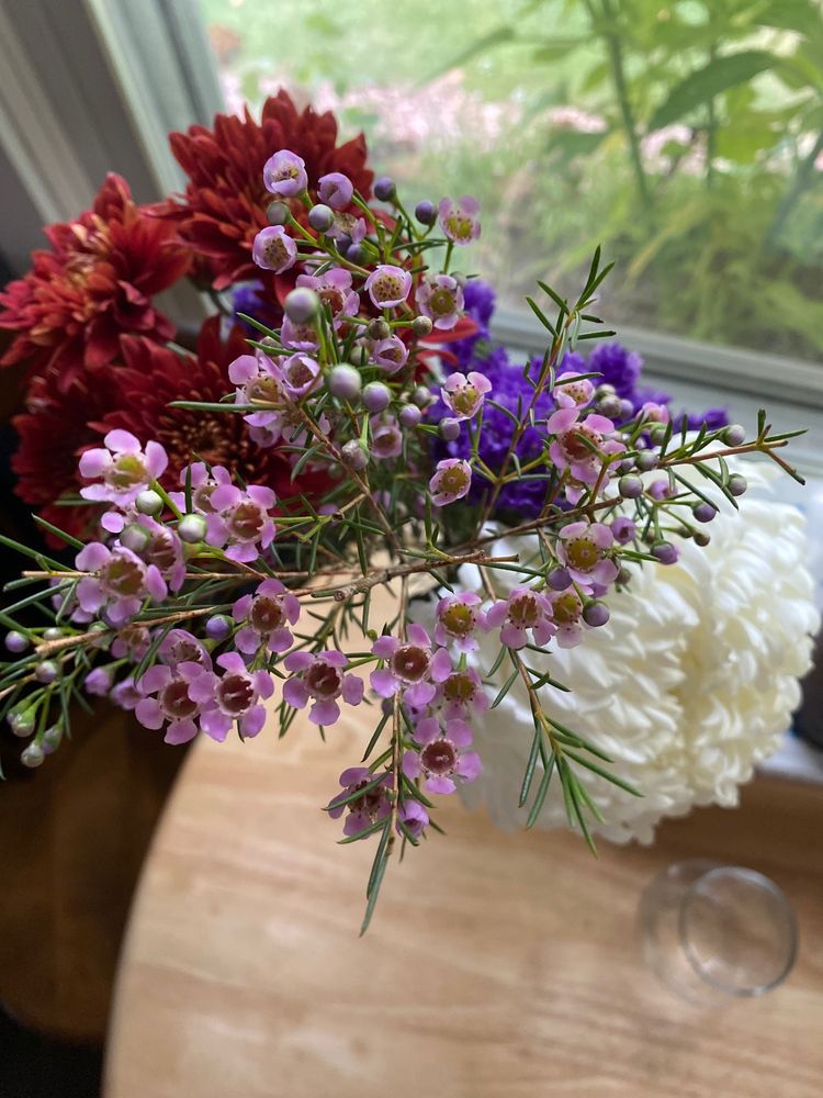 THELMA’S FLOWERS Updated October 2024 619 Wealthy St SE, Grand