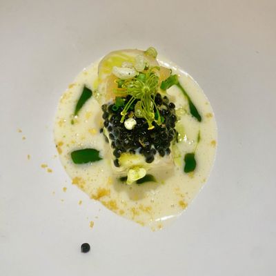 Hotel Copernicus by null