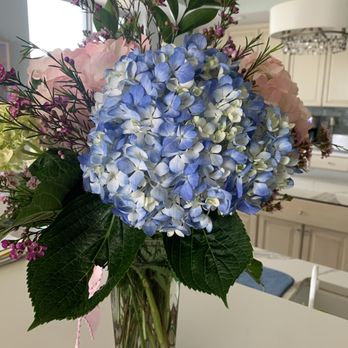 Lou's Florist - Florists Near Me - South Pasadena, Florida Lou's Florist - Florists Near Me - South Pasadena, Florida