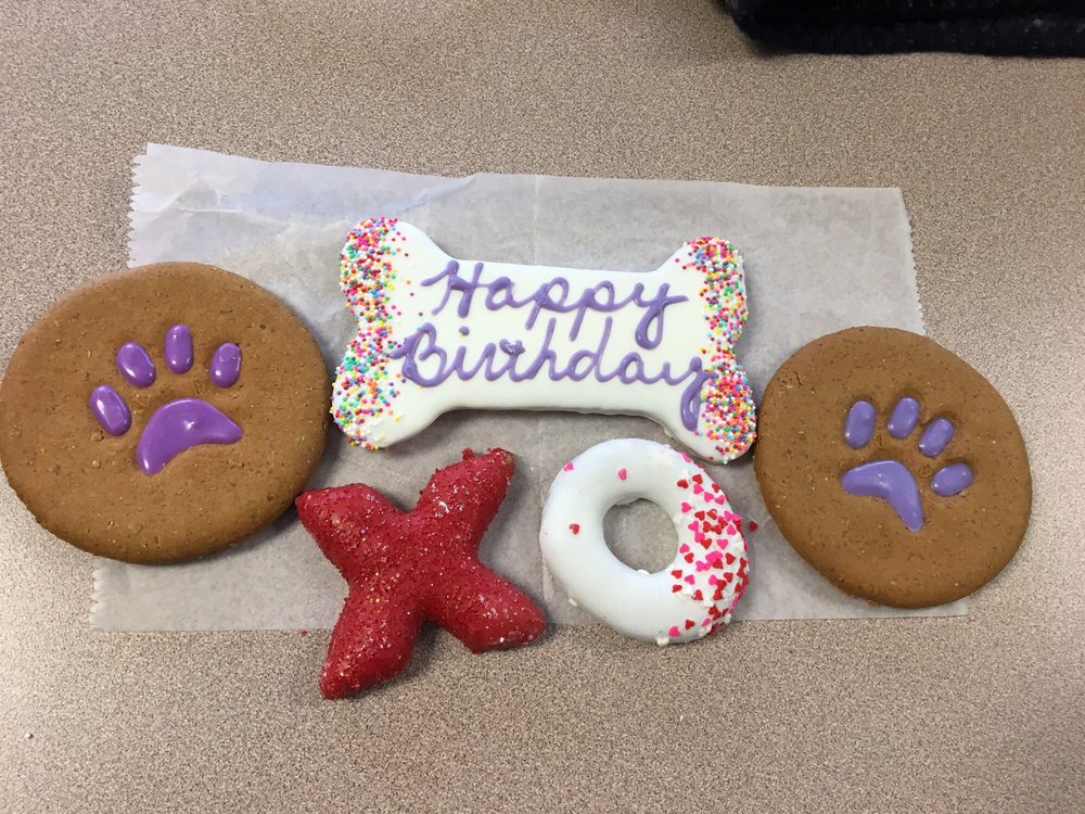 HEALTHY PET CENTER Updated July 2024 16 Reviews 237 N Greenbush Rd, Troy, New York Pet