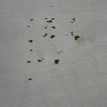 Clean Worx Environmental - Oil stains from the technicians van on my driveway. - Environmental Testing Near Me - Indianapolis, Indiana Clean Worx Environmental - Oil stains from the technicians van on my driveway. - Environmental Testing Near Me - Indianapolis, Indiana