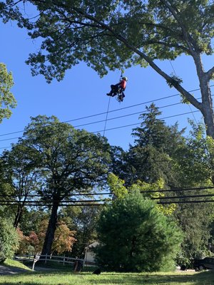 Trusted Professionals - ArborX, Is a team of professional Arborists who pride them selves in their sustainable practices recognized through their appreciation of the environment. The teams 35 plus combined years of experience in the industry is only surpassed by the desire to efficiently meet the clients needs while working to today’s highest safety standards. ArborX is a member of TCIA Tree Care Industry Association which has been advancing tree care business since 1938. we provide a wide range of services for all kinds of needs. Whether you’re looking to work on an existing space or undertake a bigger project, we believe we can help you achieve the results you seek. Contact us today to receive a free estimate. Trusted Professionals - ArborX, Is a team of professional Arborists who pride them selves in their sustainable practices recognized through their appreciation of the environment. The teams 35 plus combined years of experience in the industry is only surpassed by the desire to efficiently meet the clients needs while working to today’s highest safety standards. ArborX is a member of TCIA Tree Care Industry Association which has been advancing tree care business since 1938. we provide a wide range of services for all kinds of needs. Whether you’re looking to work on an existing space or undertake a bigger project, we believe we can help you achieve the results you seek. Contact us today to receive a free estimate.
