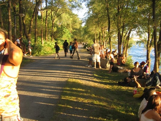 Piknic Électronik by null