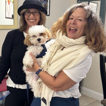 Train With Wendi - Pet Training Near Me - Boca Raton, Florida Train With Wendi - Pet Training Near Me - Boca Raton, Florida