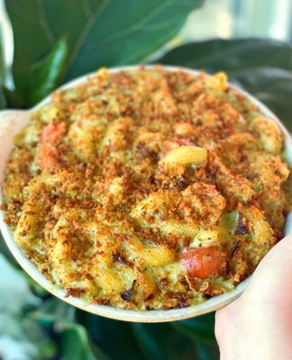 Homeroom Berkeley by null