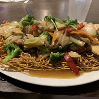 ZEN Noodle Bar - Crispy noodles- this dish was HUUUUUGE! - Vietnamese Near Me - TEMPLE TERR, Florida ZEN Noodle Bar - Crispy noodles- this dish was HUUUUUGE! - Vietnamese Near Me - TEMPLE TERR, Florida