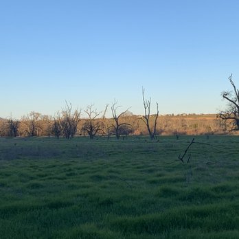 Sycamore Grove Park - Parks Near Me - Livermore, California Sycamore Grove Park - Parks Near Me - Livermore, California