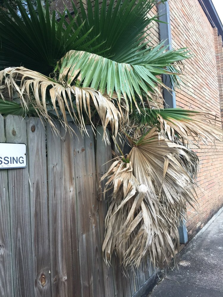 ANTLER ARMS APARTMENTS 109 W 7th St, Deer Park, TX Yelp