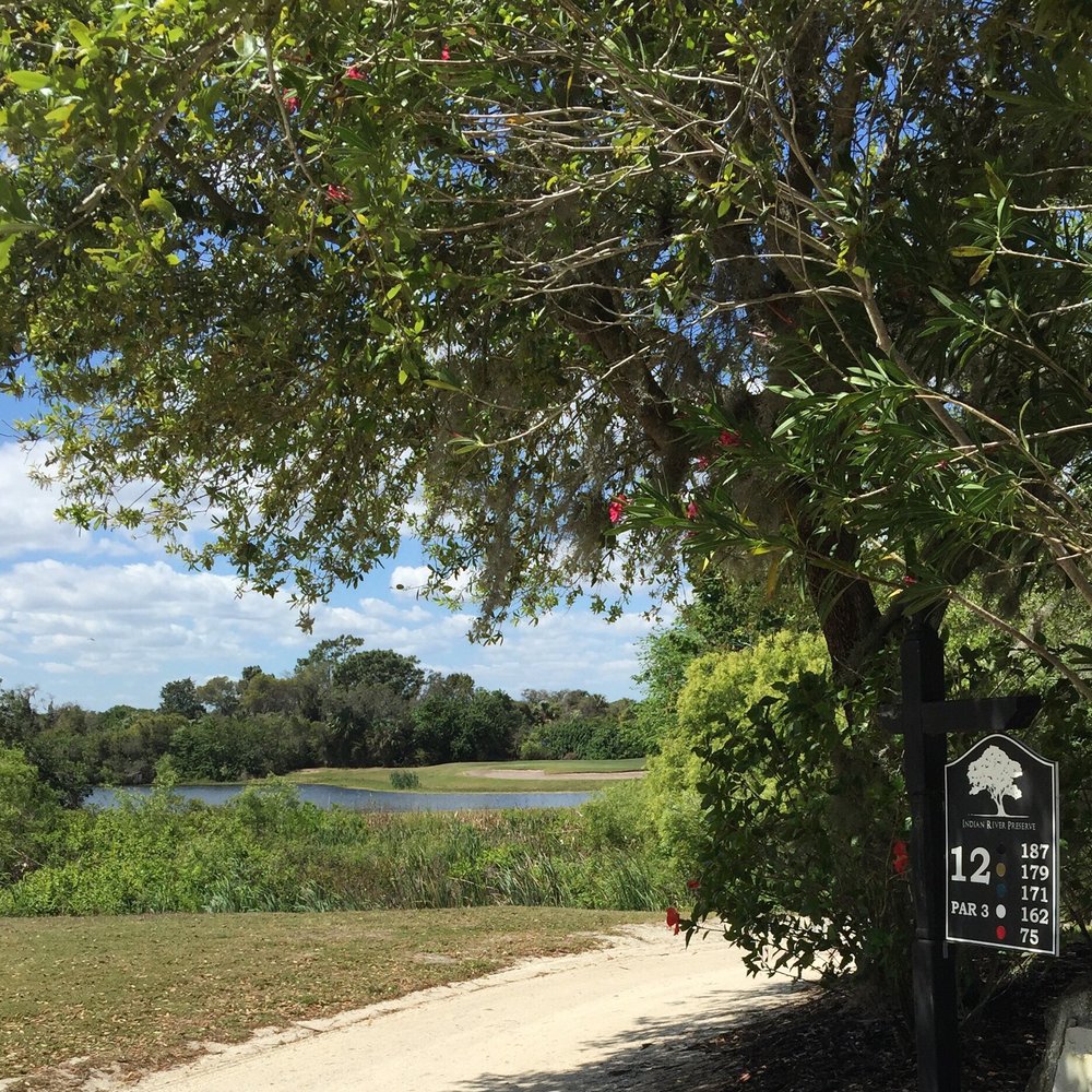 Indian River Preserve Golf Club - Hole 12. Par 3 all carry - Country Clubs Near Me - Mims, Florida Indian River Preserve Golf Club - Hole 12. Par 3 all carry - Country Clubs Near Me - Mims, Florida