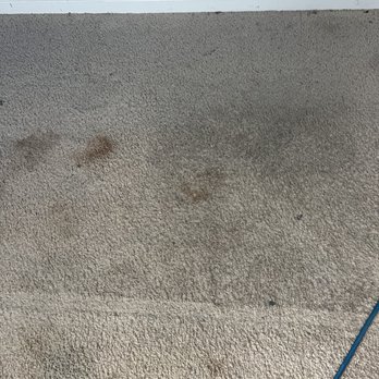 Enhance Carpet Cleaning - Before extraction - Carpet Cleaning Near Me Enhance Carpet Cleaning - Before extraction - Carpet Cleaning Near Me