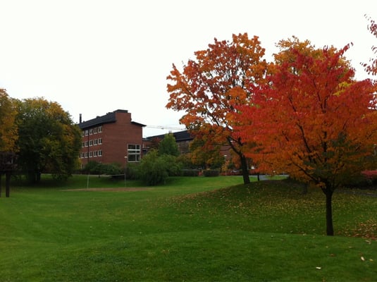 Karolinska Institute by null