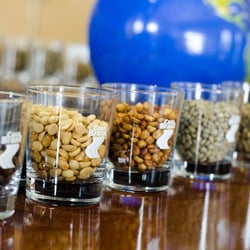 Casa Brasil - Coffee Processing Methods