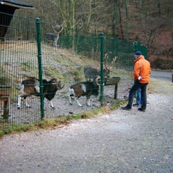 Wildpark Hagen - Wehringhausen