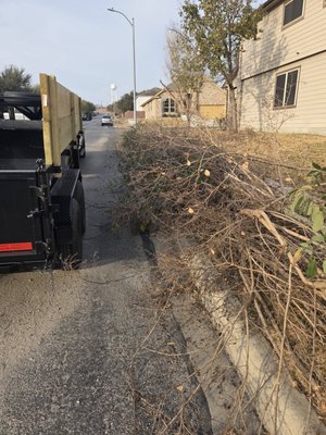 Vegetation/storm clean up/fallen tree clean up - Clean up for fallen trees on ground, brush removal, or other vegetation debris. Call or text for a quote.