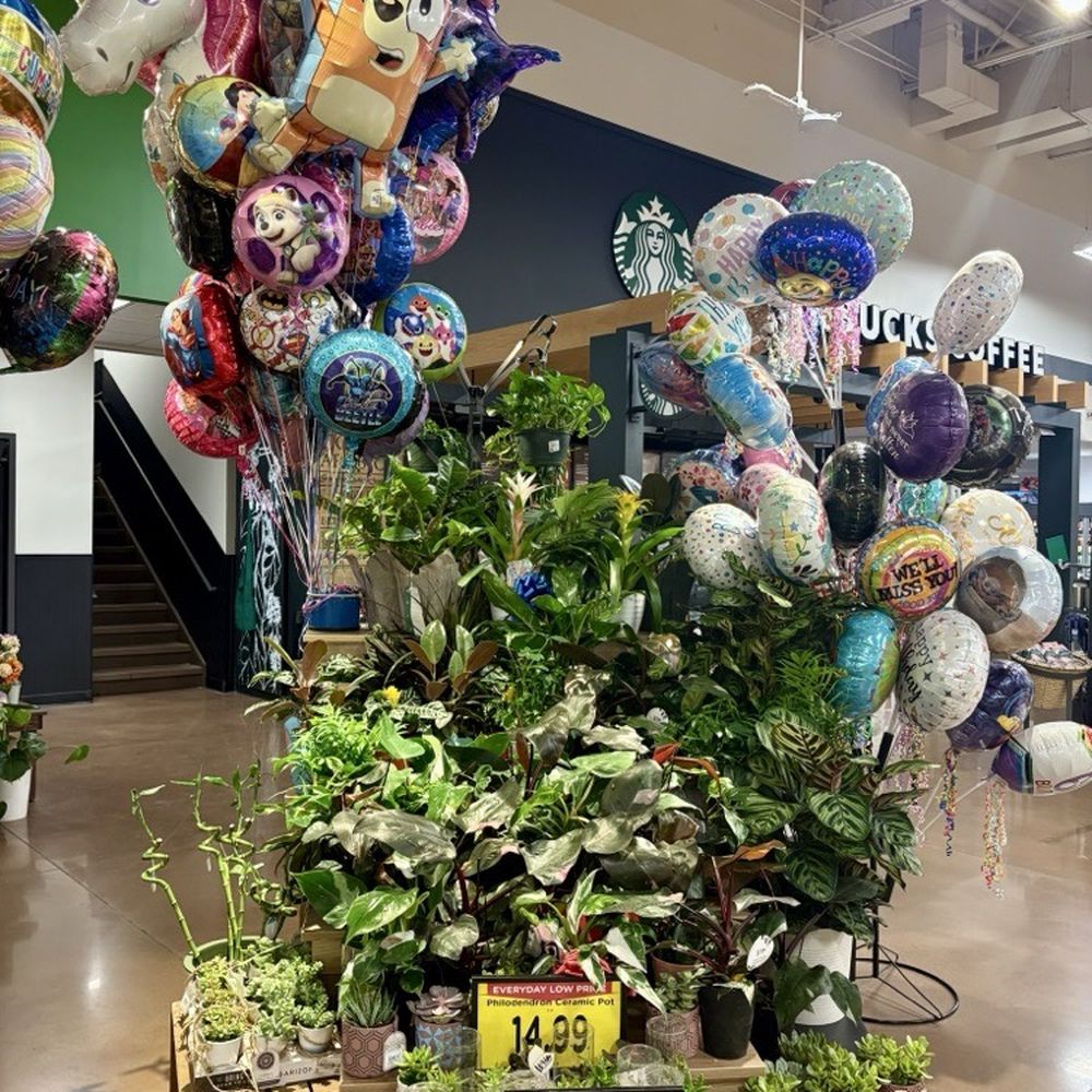 Fry's Marketplace - 2025, house plants on clearance & more endless balloons! - Grocery Near Me - Litchfield Park, Arizona